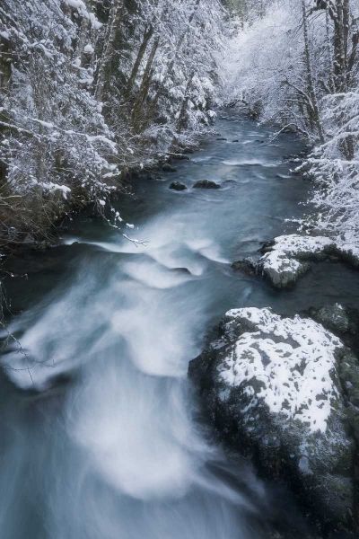 USA, WA, Olympic NP Hamma Hamma River in winter